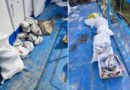 Peste 200 kg de scrumbie confiscate în Deltă