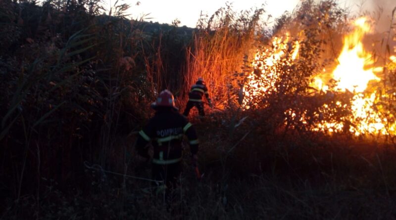 Video. Flăcări în mini-delta de lângă Tulcea