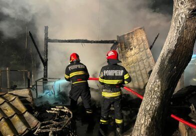 Incendiu puternic la o gospodărie din Parcheș